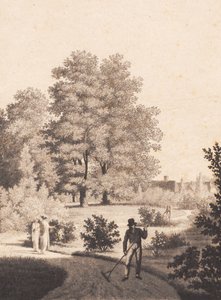 Nordfeldts Garten von J.F. Clemens
