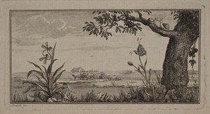 Blick über eine flache Landschaft, im Vordergrund Pflanze mit Insekten und Baum mit Schnecken von J.F. Clemens
