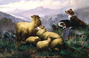 Schäferhunde und Schafe in den schottischen Highlands von J.W. Morris