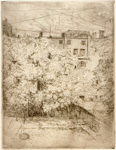 Mein Hinterhof Nr. 2