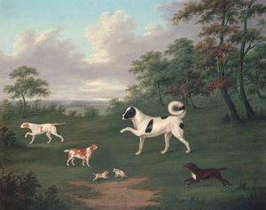 Jagdhunde in einer Landschaft von J. Francis Sartorius