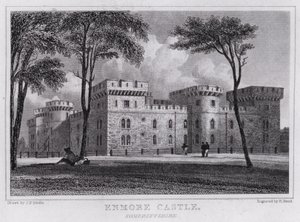 Enmore Castle, Somersetshire von John Preston Neale