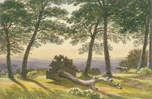 Hampstead Heath, London, ca. 1830 von J Powell
