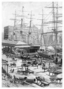 Schifffahrt, Circular Quay, Sydney, New South Wales, Australien, 1886 von J. R. Ashton