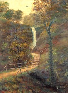 Shanklin Chine, Isle of Wight