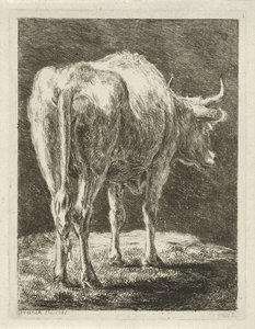 Kuh in einer Landschaft von Jabes Heenck
