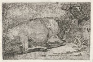 Liegende Ziege von Jabes Heenck