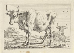 Stehender und liegender Ochse von Jacob Elias van Varelen