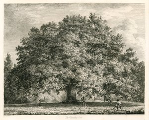 Die Chandos-Eiche, Michendon House, Southgate, London von Jacob George Strutt