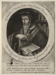 Johannes Calvin von Jacob Gole