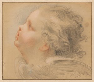 Kopf eines Cherubs, nach links von Jacob de Wit