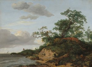 Dünen am Meer von Jacob van Ruisdael