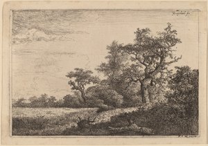 Getreidefeld am Waldrand (Kornfeld)