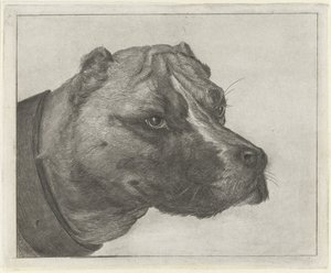 Hundekopf mit Halsband von Jacobus Cornelis Gaal