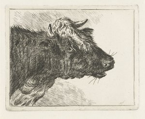 Brüllender Ochse von Jacobus Cornelis Gaal