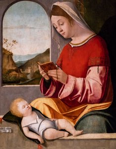 Madonna mit Kind, um 1505-1510