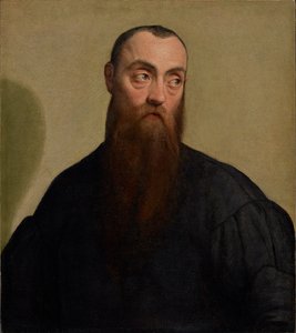 Porträt eines bärtigen Mannes von Jacopo Bassano
