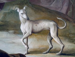 Hund, Detail aus einem Fresko von Jacopo Guarana (1720-1808), Zentralhalle der Villa Contarini, Valnogaredo, Venetien, Italien von Jacopo Guarana