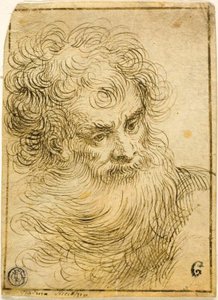 Kopf eines bärtigen alten Mannes (recto); Dekorative Skizze von Blume und Blättern (verso) von Jacopo Palma il Giovane