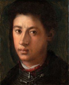 Porträt von Alessandro de Medici 1510-1537, 1534-1535 von Jacopo Pontormo