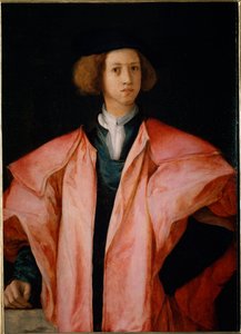 Porträt eines jungen Mannes, wahrscheinlich Alessandro de Medici von Jacopo Pontormo