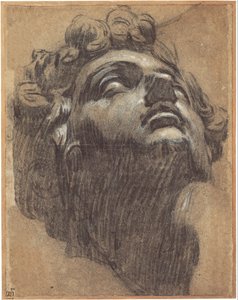 Kopf von Giuliano de Medici 1479-1516, 1540er