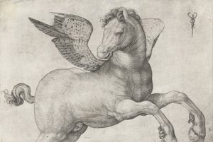 Pegasus, 1509-16 von Jacopo de Barbari