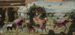 Actaeon wird in einen Hirsch verwandelt von Jacopo del Sellaio