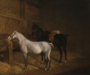 Ein graues Pony und ein schwarzer Charger in einem Stall von Jacques-Laurent Agasse