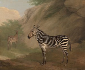 Zebra von Jacques-Laurent Agasse