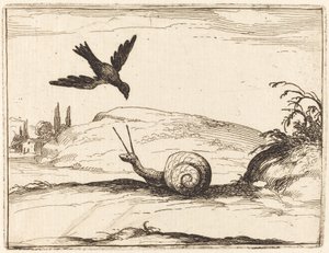 Krähe und Schnecke von Jacques Callot