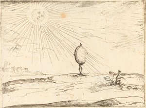 Sonnenstrahlen