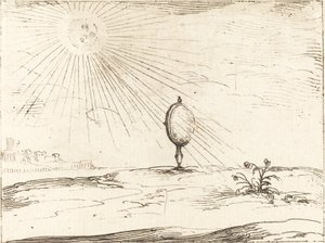 Strahlen der Sonne