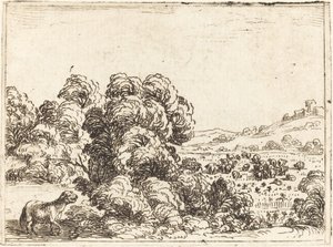 Schaf ruft Lamm von Jacques Callot