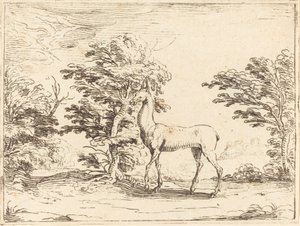 Die Hirschkuh