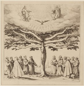 Der Baum des Heiligen Franziskus