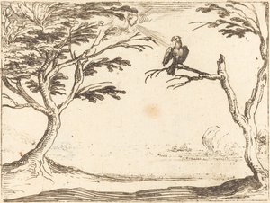 Der Geier von Jacques Callot