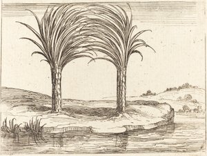 Zwei Palmen