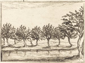 Weiden am Wasser von Jacques Callot