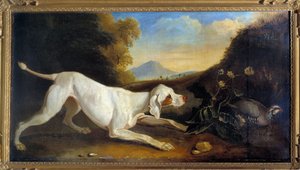 Hund Braque vor einem Fasan