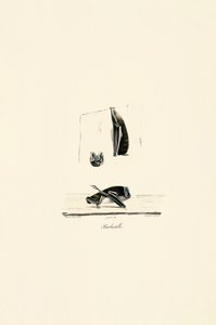 Mexikanische Geisterfledermaus von Jacques Christophe Werner