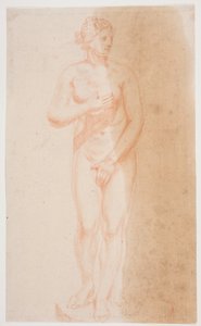 Stehende Venus