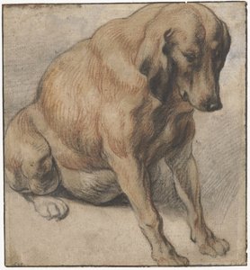 Sitzender Hund