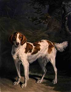 Dash, graviert von Charles Turner, veröffentlicht von R. Ackermann Jnr.