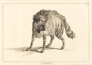 Loucervier (Hyäne) von Jacques Philippe Le Bas and Jean Eric Rehn after Jean Baptiste Oudry