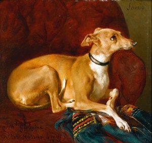 Ein Windhund ruht auf einem Stuhl