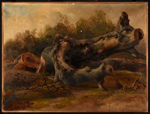 Gefällter Baum