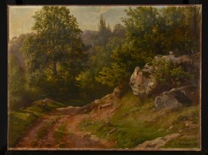 Waldlandschaft