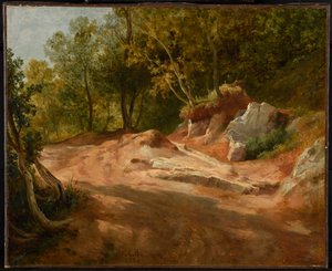 Felsen im Wald