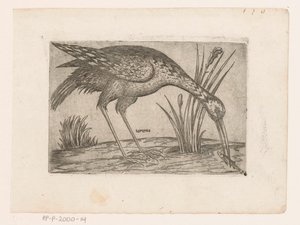 Vogel (Vogels) von Jacques de Fornazeris (possibly)